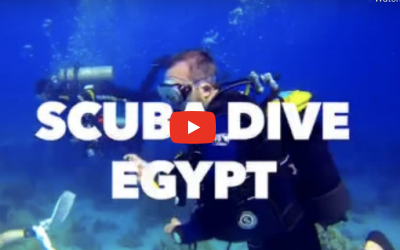 SCUBA Diving in Egypt is Fun!