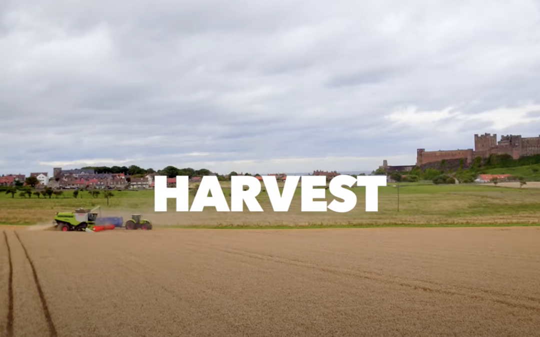 BAMBURGH Harvest 2018