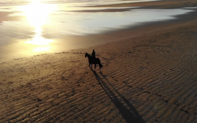 Sunrise With Claire and Basil at Bamburgh ( Airvuz Video of the week Nominee )