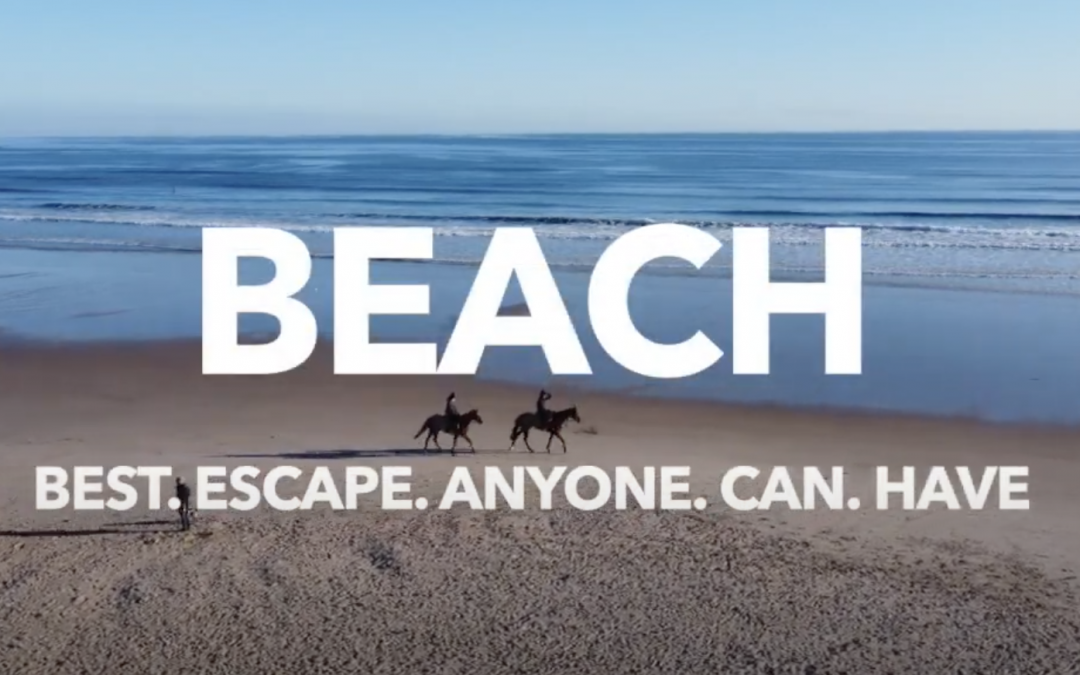 BEACH BEST ESCAPE ANYONE CAN HAVE with Race Horses